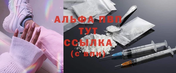 spice Ельня