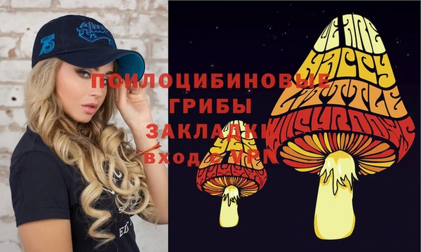 spice Ельня