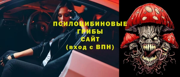 spice Ельня