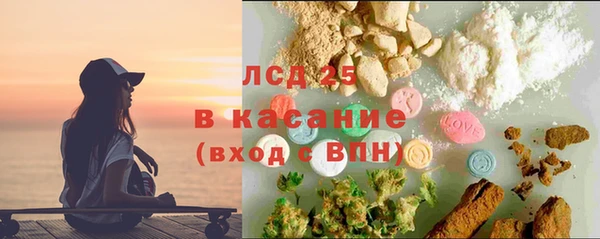 spice Ельня