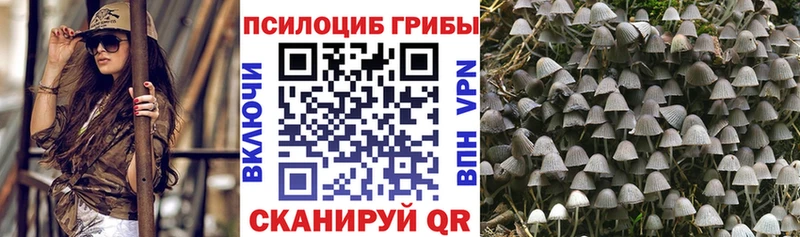 Купить  Нелидово  Псилоцибиновые грибы мухоморы 