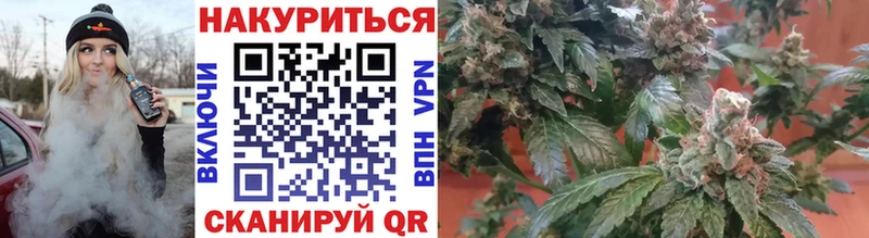 Купить закладки  Нелидово  Шишки марихуана SATIVA & INDICA 